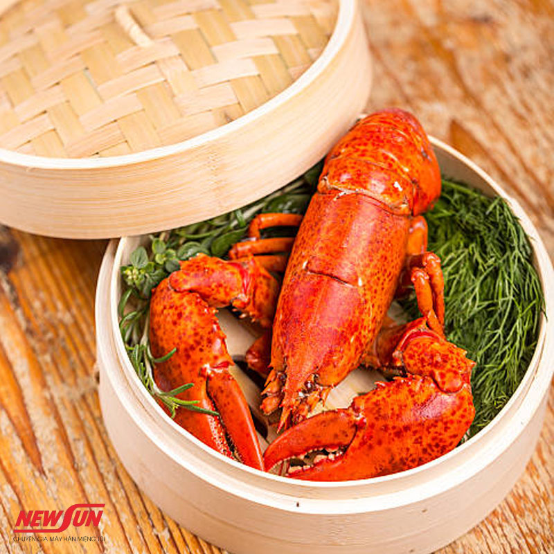 Hướng dẫn cách bảo quản tôm hùm đã hấp bằng máy hàn miệng túi