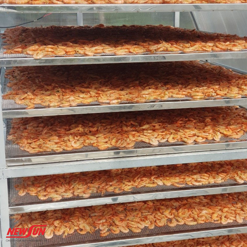 Lưu ngay 3 cách bảo quản tôm khô được lâu cho bà nội trợ