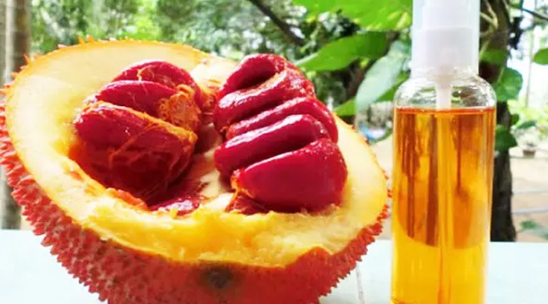 cách bảo quản tinh dầu gấc, đã hỏng