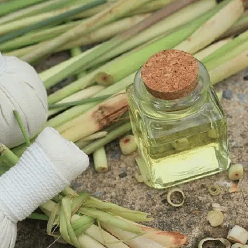 TOP 7 lưu ý quan trọng trong cách bảo quản tinh dầu sả