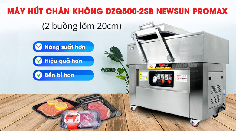 Máy ép chân không DZQ500-2SB Promax (2 buồng lõm 20cm)