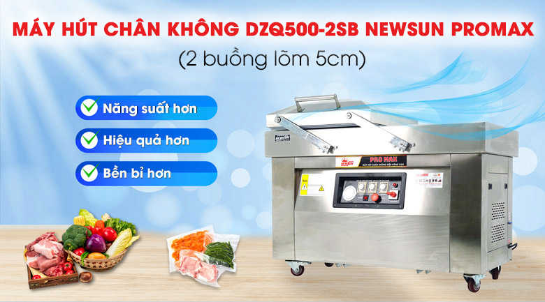 Máy ép chân không DZQ400-2SB Promax (2 buồng lõm 5cm)
