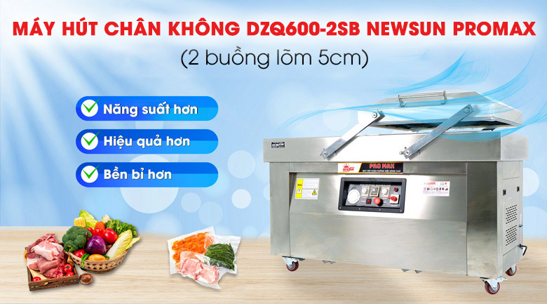 Máy ép chân không DZQ600-2SB Promax (2 buồng lõm 5cm)